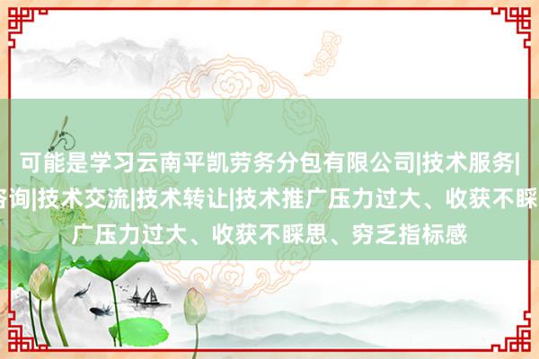 可能是学习云南平凯劳务分包有限公司|技术服务|技术开发|技术咨询|技术交流|技术转让|技术推广压力过大、收获不睬思、穷乏指标感