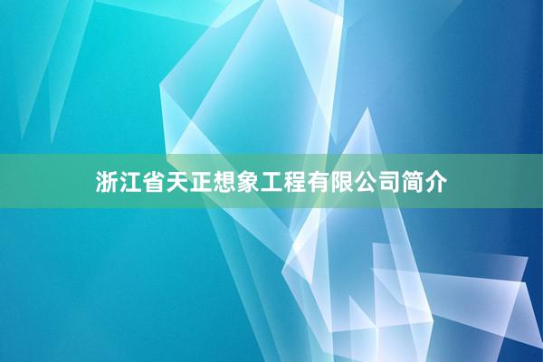 浙江省天正想象工程有限公司简介