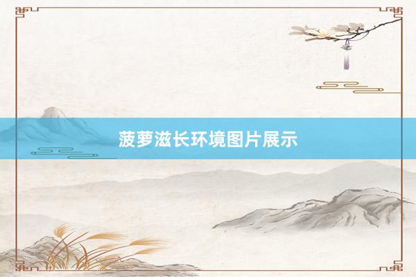 菠萝滋长环境图片展示
