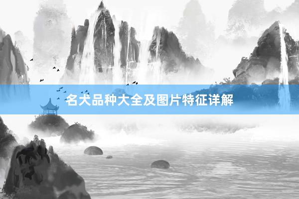 名犬品种大全及图片特征详解