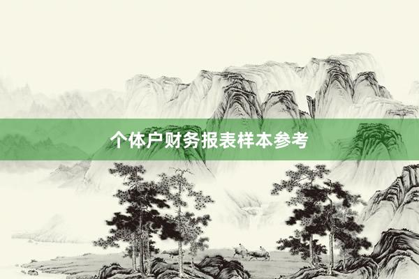 个体户财务报表样本参考